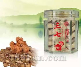 三七與兆升中藥飲片 散瘀止血、消腫定痛的傳統瑰寶