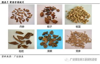 源和藥業（833379） 新渠道拓展與新產品布局，中藥飲片業務增長可期